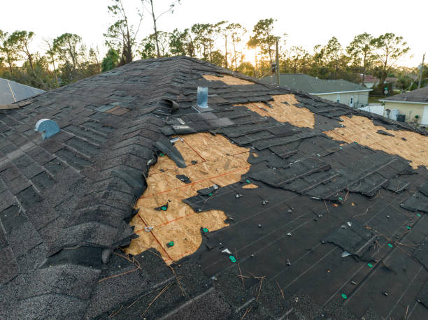 Best Asphalt Shingles Roofing  in East Dundee, IL
